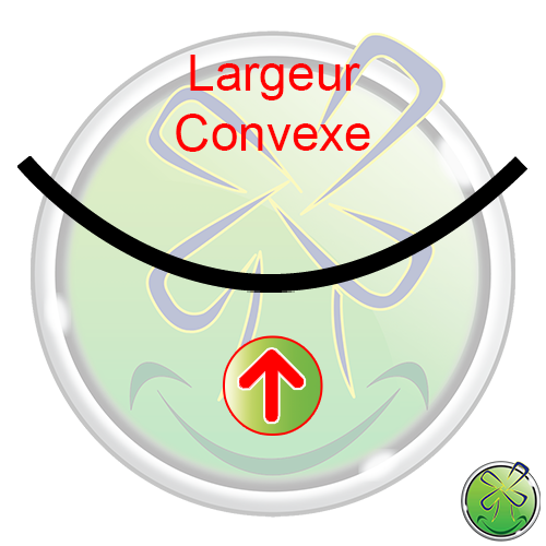 Largeur Convexe 